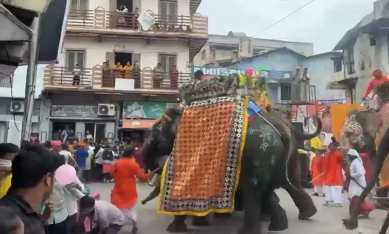 रथ यात्रा में शामिल हाथी हुआ बेकाबू, पढ़े पूरी खबर रथ यात्रा में शामिल हाथी हुआ बेकाबू, पढ़े पूरी खबर