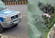 बूढ़ातालाब में नवजात का शव मिला