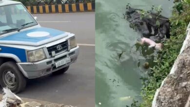 बूढ़ातालाब में नवजात का शव मिला