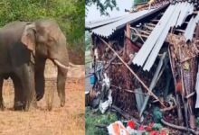 हाथी ने ग्रामीण का घर तोड़ कर अनाज चट किया