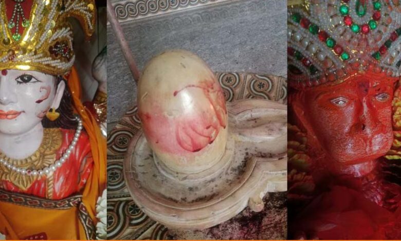 सुख समृद्धि की चाह में देव मूर्तियों पर चढ़ाया खून सुख समृद्धि की चाह में देव मूर्तियों पर चढ़ाया खून