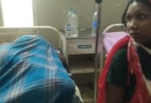 जंगली मशरूम खाने से एक ही परिवार के चार अस्पताल में भर्ती