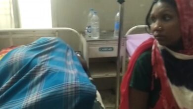 जंगली मशरूम खाने से एक ही परिवार के चार अस्पताल में भर्ती