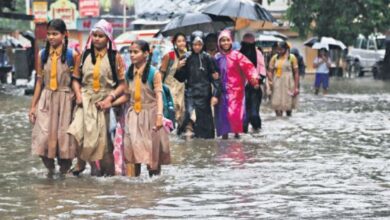 देश में मानसून ने पकड़ी रफ़्तार, कई राज्य बारिश से तरबतर