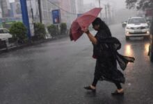 प्रदेश में प्री-मानसून गतिविधियां तेज़, 21 जिलों में बारिश का अलर्ट