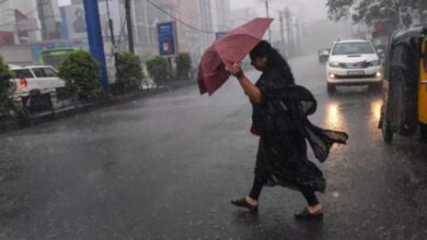 प्रदेश में प्री-मानसून गतिविधियां तेज़, 21 जिलों में बारिश का अलर्ट