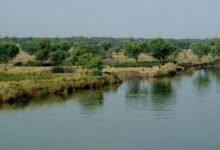 पिकनिक मनाने गए 8 युवक नदी डूबे