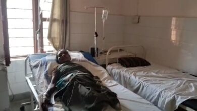 नदी सफाई के दौरान मजदूरों पर मधुमक्खियों ने किया हमला, 15 घायल