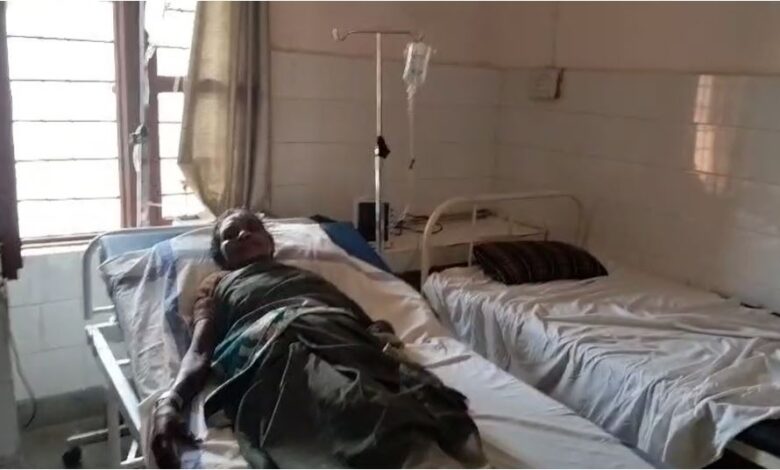 नदी सफाई के दौरान मजदूरों पर मधुमक्खियों ने किया हमला, 15 घायल नदी सफाई के दौरान मजदूरों पर मधुमक्खियों ने किया हमला, 15 घायल