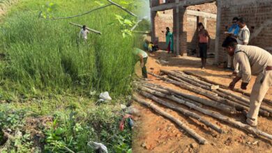 वन विभाग की टीम को बड़ी कामयाबी, भारी मात्रा में अवैध सागौन की बल्लिया जब्त