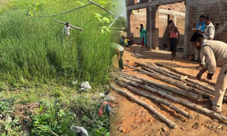 वन विभाग की टीम को बड़ी कामयाबी, भारी मात्रा में अवैध सागौन की बल्लिया जब्त वन विभाग की टीम को बड़ी कामयाबी, भारी मात्रा में अवैध सागौन की बल्लिया जब्त