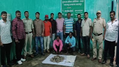 पैंगोलिन स्केल तस्करी: वन विभाग की संयुक्त टीम ने दो को किया गिरफ्तार पैंगोलिन स्केल तस्करी: वन विभाग की संयुक्त टीम ने दो को किया गिरफ्तार