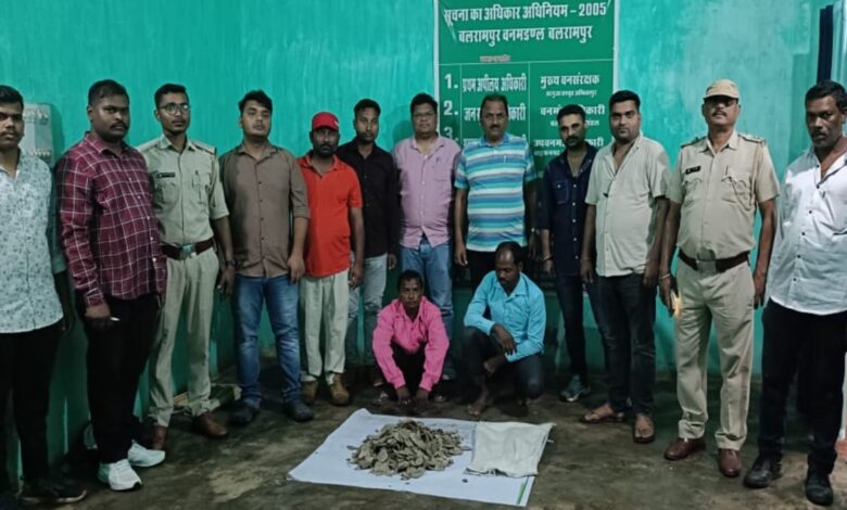 पैंगोलिन स्केल तस्करी: वन विभाग की संयुक्त टीम ने दो को किया गिरफ्तार पैंगोलिन स्केल तस्करी: वन विभाग की संयुक्त टीम ने दो को किया गिरफ्तार
