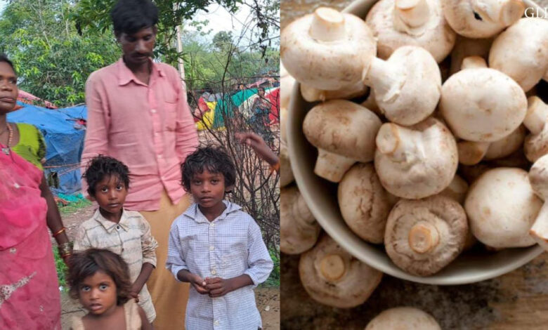 जहरीला मशरूम खाने से चार लोग पड़े बीमार, इलाज जारी जहरीला मशरूम खाने से चार लोग पड़े बीमार, इलाज जारी