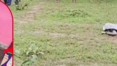 आमाडुला बांध के पास युवक की लाश मिली