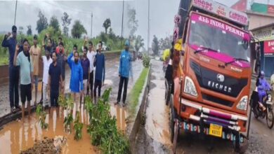 NSUI ने सड़कों पर लगाया बेशरम का पौधा, पढ़े पूरी खबर