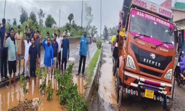 NSUI ने सड़कों पर लगाया बेशरम का पौधा, पढ़े पूरी खबर NSUI ने सड़कों पर लगाया बेशरम का पौधा, पढ़े पूरी खबर
