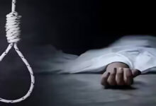 बुजुर्ग की बुरी नीयत और रोज की गाली गलौज से तंग आकर की बहू ने हत्या