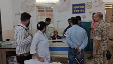 बच्चों पर मधुमक्खियों ने किया हमला, 4 घायल