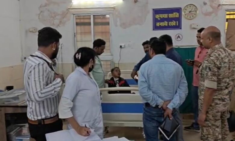 बच्चों पर मधुमक्खियों ने किया हमला, 4 घायल बच्चों पर मधुमक्खियों ने किया हमला, 4 घायल