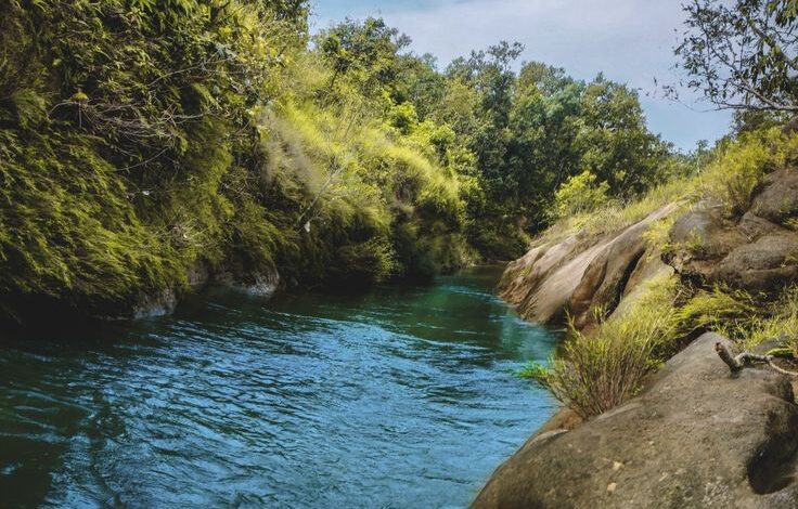 पिकनिक मनाने गए युवक की डूबने से मौत पिकनिक मनाने गए युवक की डूबने से मौत