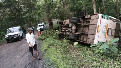 रिजर्व फारेस्ट में हादसा, दर्जन भर से ज्यादा लोग घायल