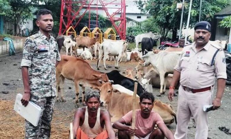 52 गौवंश को बूचड़खाने ले जाते 2 तस्कर गिरफ्तार 52 गौवंश को बूचड़खाने ले जाते 2 तस्कर गिरफ्तार