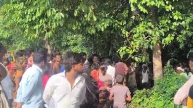 दातुन तोड़ने पेड़ पर चढ़ा युवक गिरा, मौत , दो दिन बाद मिला शव