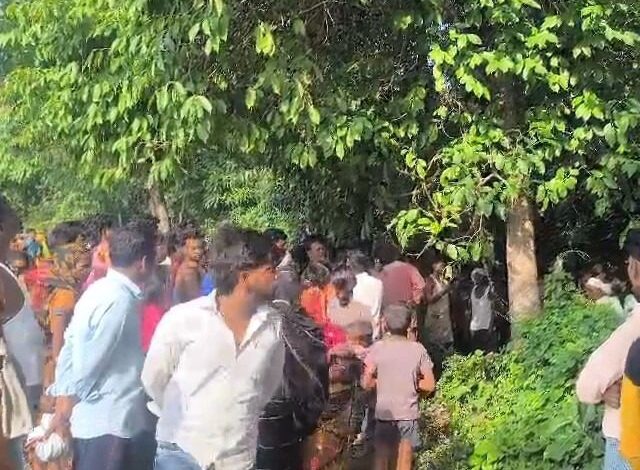 दातुन तोड़ने पेड़ पर चढ़ा युवक गिरा, मौत , दो दिन बाद मिला शव दातुन तोड़ने पेड़ पर चढ़ा युवक गिरा, मौत , दो दिन बाद मिला शव
