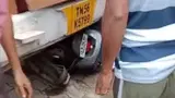 ट्रक की चपेट में आने से बुजुर्ग की मौत ट्रक की चपेट में आने से बुजुर्ग की मौत