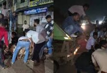 दो हादसों में 9 गौवंश की मौत