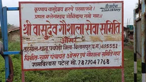 एक ही दिन में 25 से ज्यादा गौ माताओं की हुई की मौत एक ही दिन में 25 से ज्यादा गौ माताओं की हुई की मौत