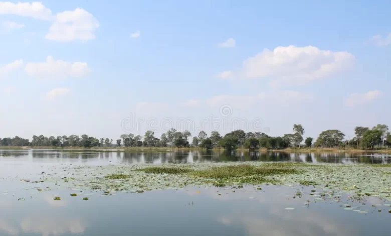 शहर की शान कहलाने वाली दलपत सागर पर अब लग रहे गाद शहर की शान कहलाने वाली दलपत सागर पर अब लग रहे गाद