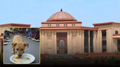 छात्रों को कुत्ते का जूठा खाना परोसने का मामला, मुआवजा देने का आदेश छात्रों को कुत्ते का जूठा खाना परोसने का मामला, मुआवजा देने का आदेश