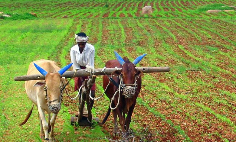यूरिया-डीएपी की कृत्रिम कमी को लेकर किसान संघ ने घेरा कृषि विभाग यूरिया-डीएपी की कृत्रिम कमी को लेकर किसान संघ ने घेरा कृषि विभाग