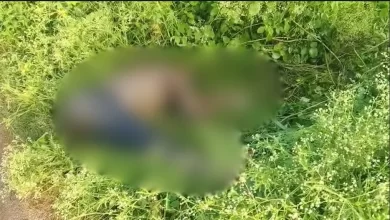 सड़क किनारे मिली अज्ञात लाश, गांव में सनसनी का माहौल सड़क किनारे मिली अज्ञात लाश, गांव में सनसनी का माहौल