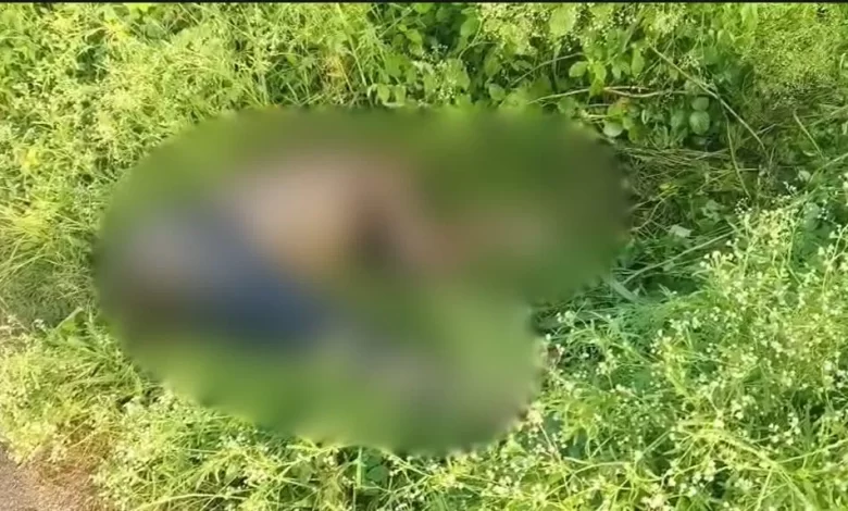 सड़क किनारे मिली अज्ञात लाश, गांव में सनसनी का माहौल सड़क किनारे मिली अज्ञात लाश, गांव में सनसनी का माहौल