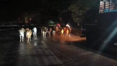 राष्ट्रीय राजमार्ग पर लगातार हो रही सड़क दुर्घटना, उच्च न्यायलय ने लिया कड़ा फैसला राष्ट्रीय राजमार्ग पर लगातार हो रही सड़क दुर्घटना, उच्च न्यायलय ने लिया कड़ा फैसला