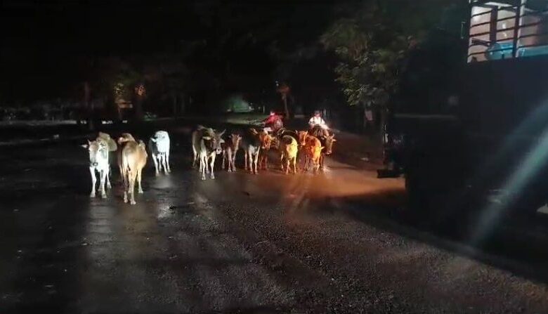 राष्ट्रीय राजमार्ग पर लगातार हो रही सड़क दुर्घटना, उच्च न्यायलय ने लिया कड़ा फैसला राष्ट्रीय राजमार्ग पर लगातार हो रही सड़क दुर्घटना, उच्च न्यायलय ने लिया कड़ा फैसला