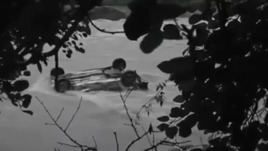 देर रात नदी में गिरी कार, तीन की मौत