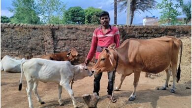 डेयरी से सुखसागर की आर्थिक स्थिति में आया बदलाव डेयरी से सुखसागर की आर्थिक स्थिति में आया बदलाव