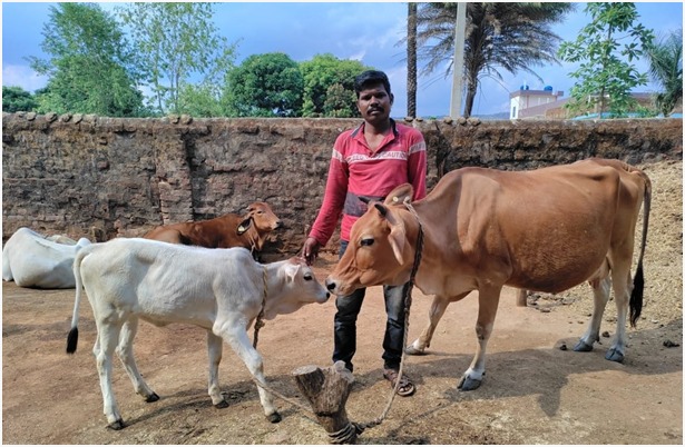 डेयरी से सुखसागर की आर्थिक स्थिति में आया बदलाव डेयरी से सुखसागर की आर्थिक स्थिति में आया बदलाव