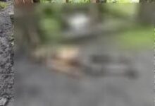 सीएसईबी प्लांट में हादसा, ठेका कर्मी की मौत