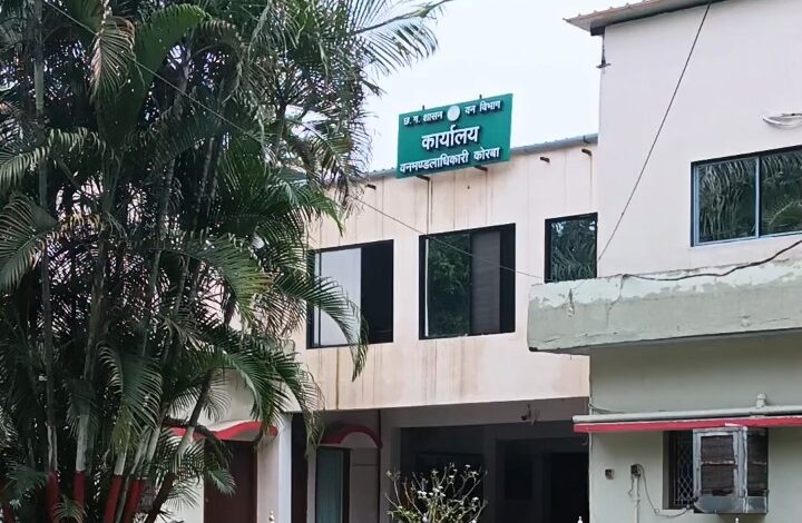 नर्सरी के लिए सर्वे करने पहुंची वन विभाग की टीम पर हमला, डिप्टी रेंजर और महिला वन कर्मी घायल नर्सरी के लिए सर्वे करने पहुंची वन विभाग की टीम पर हमला, डिप्टी रेंजर और महिला वन कर्मी घायल