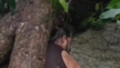 рд░рд╛рдпрдкреБрд░ рдХреЗ рдпреБрд╡рдХ рдХреА рдорд▓рд╛рдВрдЬрдХреБрдбрд╝реБрдо рдЬрд▓рдкреНрд░рдкрд╛рдд рдореЗрдВ рдореМрдд рд░рд╛рдпрдкреБрд░ рдХреЗ рдпреБрд╡рдХ рдХреА рдорд▓рд╛рдВрдЬрдХреБрдбрд╝реБрдо рдЬрд▓рдкреНрд░рдкрд╛рдд рдореЗрдВ рдореМрдд