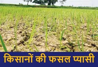 कागजो में विभाग ने छोड़ा पानी, जमीन की हकीकत कुछ और कागजो में विभाग ने छोड़ा पानी, जमीन की हकीकत कुछ और
