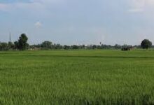 सरकार ने जमीन के गाइडलाइन में किया बदलाव, गड़बड़ी पर लगेगी रोक सरकार ने जमीन के गाइडलाइन में किया बदलाव, गड़बड़ी पर लगेगी रोक