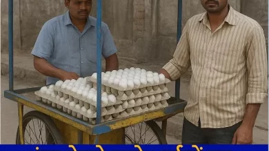 बेरोजगारों से ठगी करने वाले दो भाइयों का कच्चा चिट्ठा हुआ उजागर बेरोजगारों से ठगी करने वाले दो भाइयों का कच्चा चिट्ठा हुआ उजागर