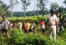 वन अतिक्रमण रोकने बम्हनी क्षेत्र के ग्रामीणों को किया जागरूक वन अतिक्रमण रोकने बम्हनी क्षेत्र के ग्रामीणों को किया जागरूक