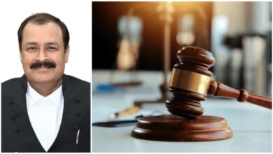 उच्च न्यायालय ने 12 वर्षीय छात्र कक्षा 6वीं सत्र 2025-26 में दाखिले का दिया आदेश उच्च न्यायालय ने 12 वर्षीय छात्र कक्षा 6वीं सत्र 2025-26 में दाखिले का दिया आदेश